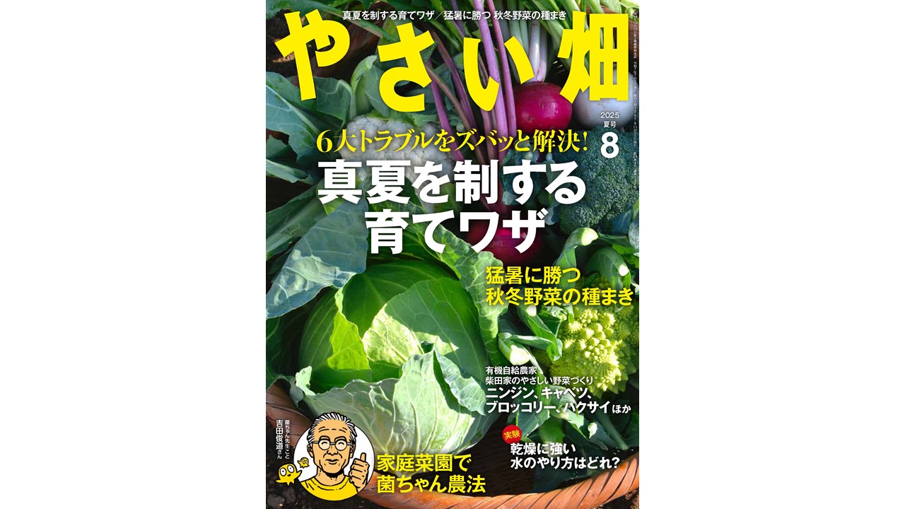 『やさい畑』2025年8月夏号発売中！<