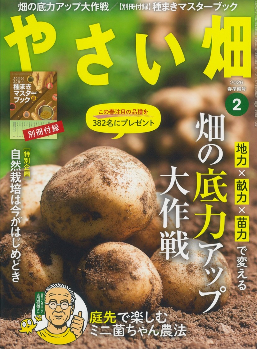 『やさい畑』2026年2月春準備号発売中！<