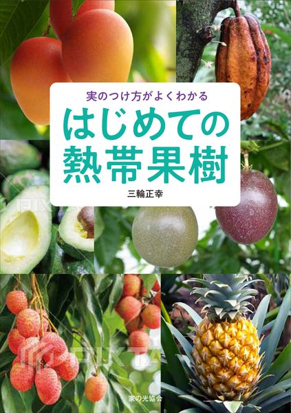 今月の新刊＆おすすめの家の光図書<
