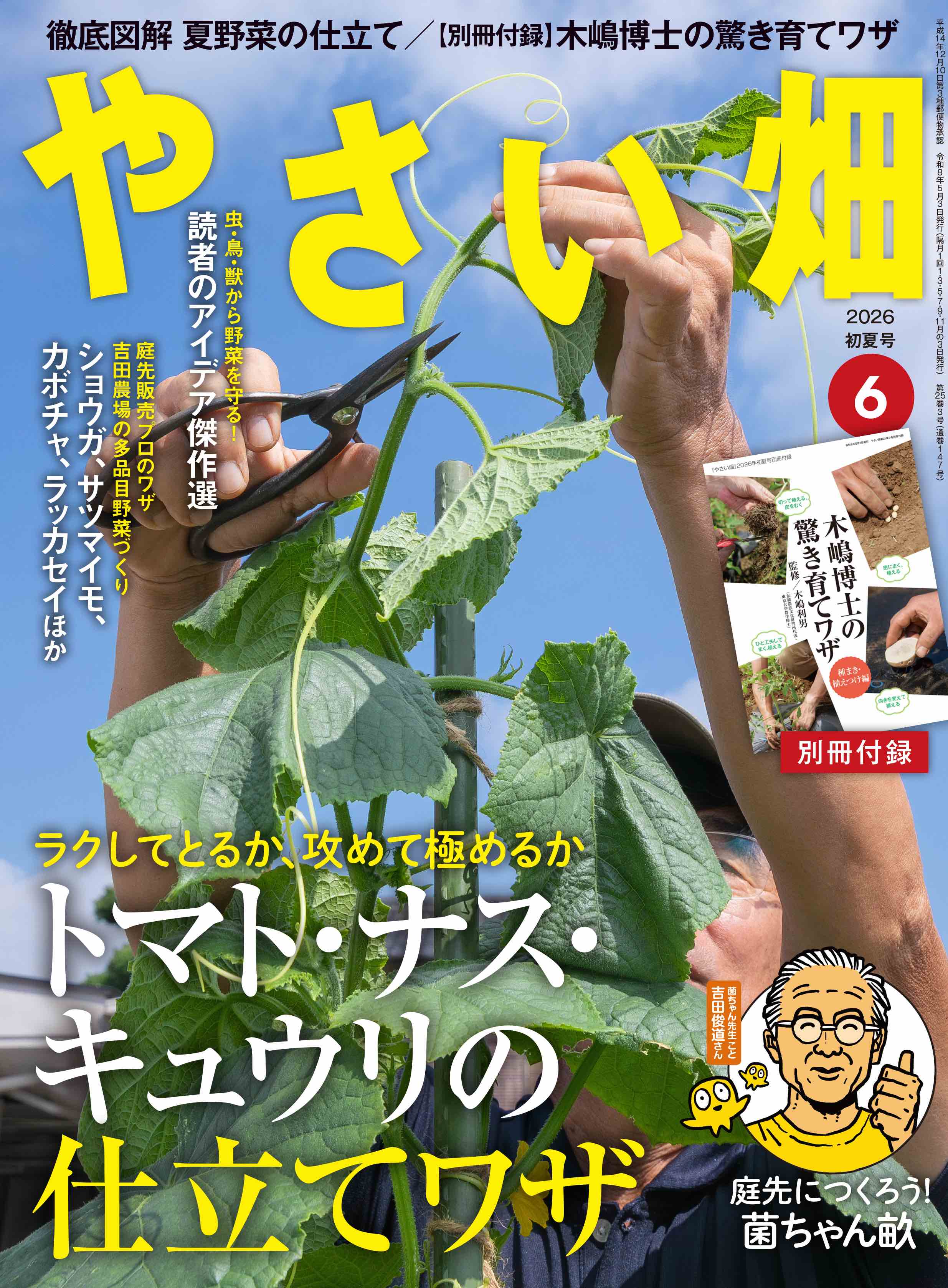 『やさい畑』2026年6月初夏号発売中！<