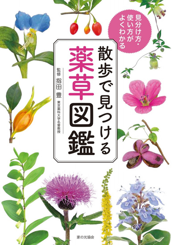 散歩で見つける薬草図鑑 見分け方・使い方がよくわかる