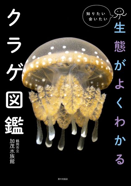生態がよくわかるクラゲ図鑑